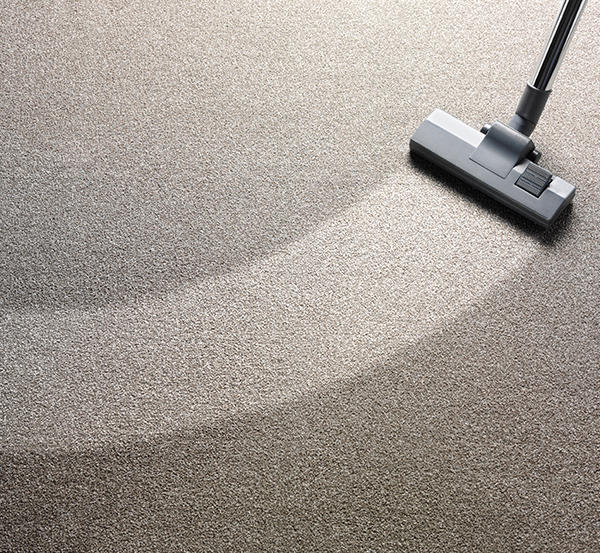 Why Professional Carpet Cleaning Services Are a Must for Your Home